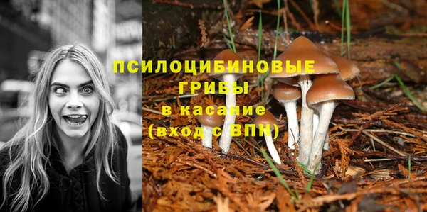 хмурый Баксан