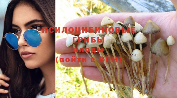 шишки Балабаново