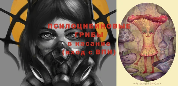 шишки Балабаново