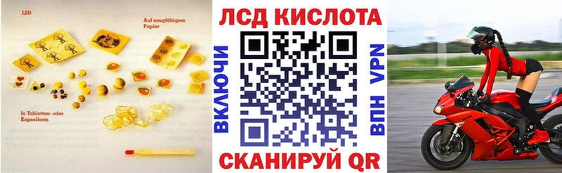 blacksprut ссылки  Магас  Лсд 25 экстази кислота 