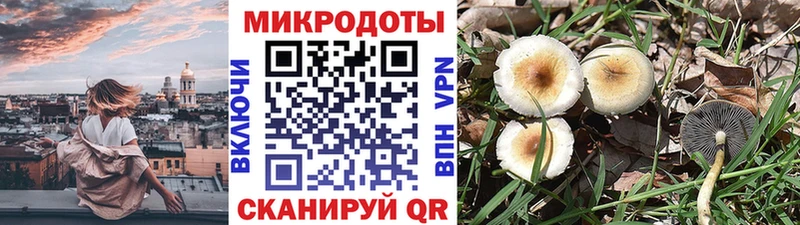 Галлюциногенные грибы ЛСД  Магас 